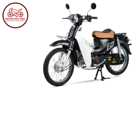ESPERO PLUS 2 - ĐÈN BI CẦU 