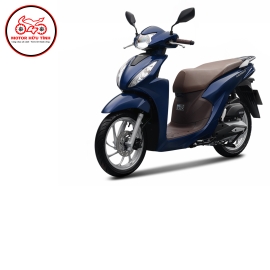 Vision - Cao cấp 2025 