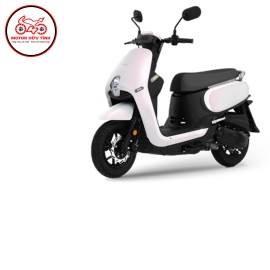 PRITI 50 