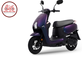 PRITI 50