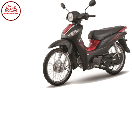 Angela 50 - SƠN MỜ 