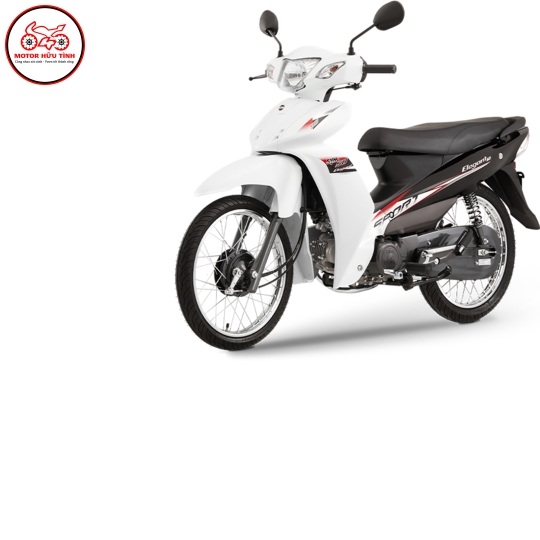 ELEGANT SPORT 50 -  BÁNH CĂM  
