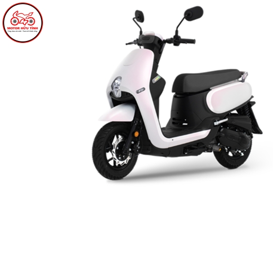 PRITI 50 