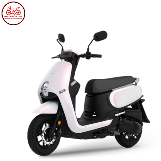 PRITI 50 