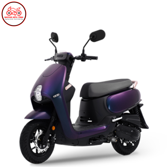 PRITI 50 